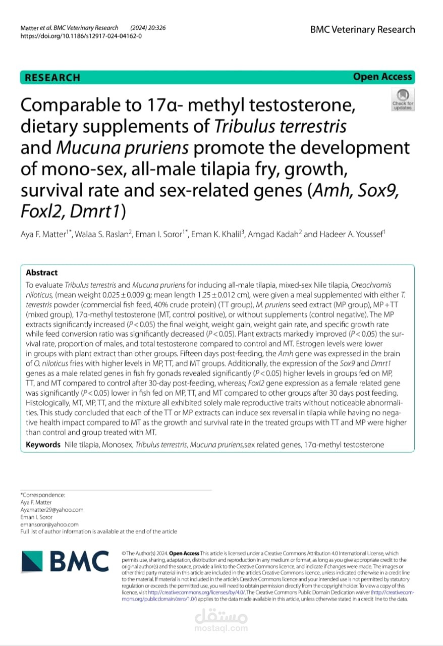 Comparable to 17α- methyl testosterone,  dietary supplements of Tribulus terrestris and Mucuna pruriens promote the development  of mono-sex, all-male tilapia fry, growth,  survival rate and sex-related genes (Amh, Sox9,  Foxl2, Dmrt1