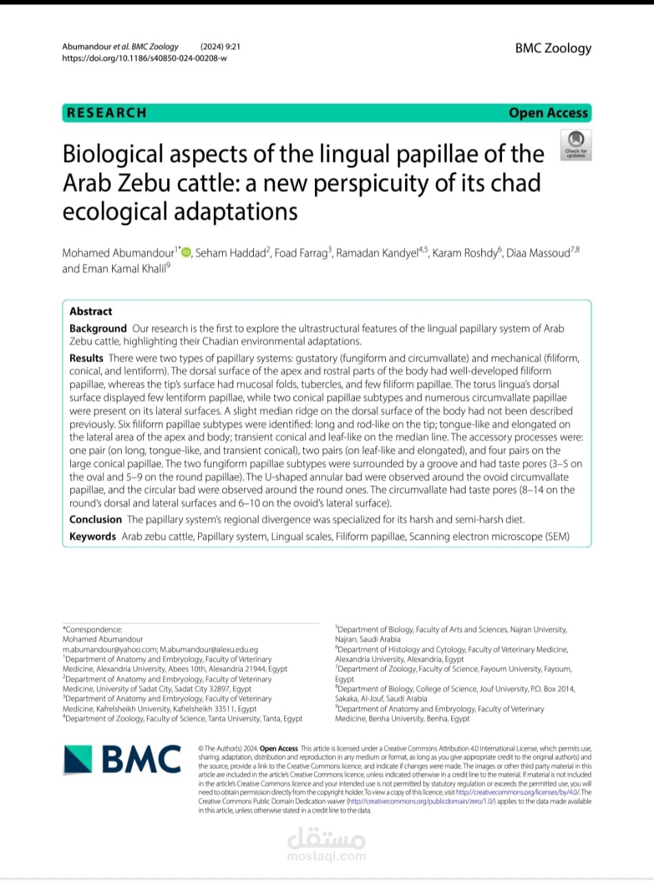 Biological aspects of the lingual papillae of the  Arab Zebu cattle: a new perspicuity of its chad  ecological adaptations