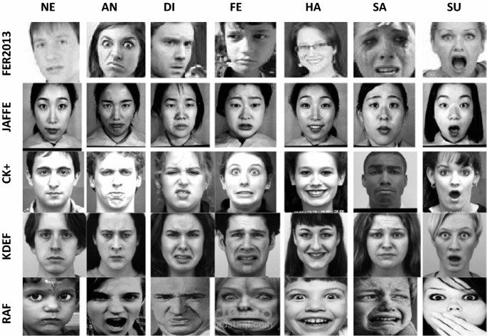 facial expression recognition fer