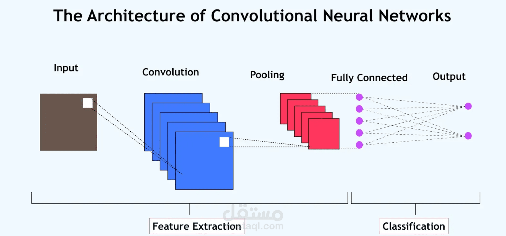 Cats & dogs classification
