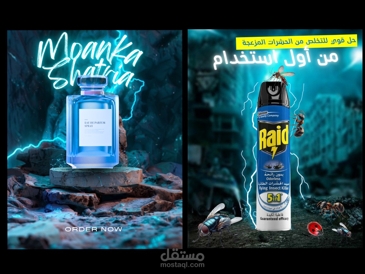 تصاميم احترافية