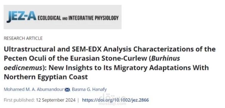 Ultrastructural and SEM-EDX Analysis Characterizations of the Pecten Oculi of the Eurasian Stone-Curlew (Burhinus oedicnemus): New Insights to Its Migratory Adaptations With Northern Egyptian Coast