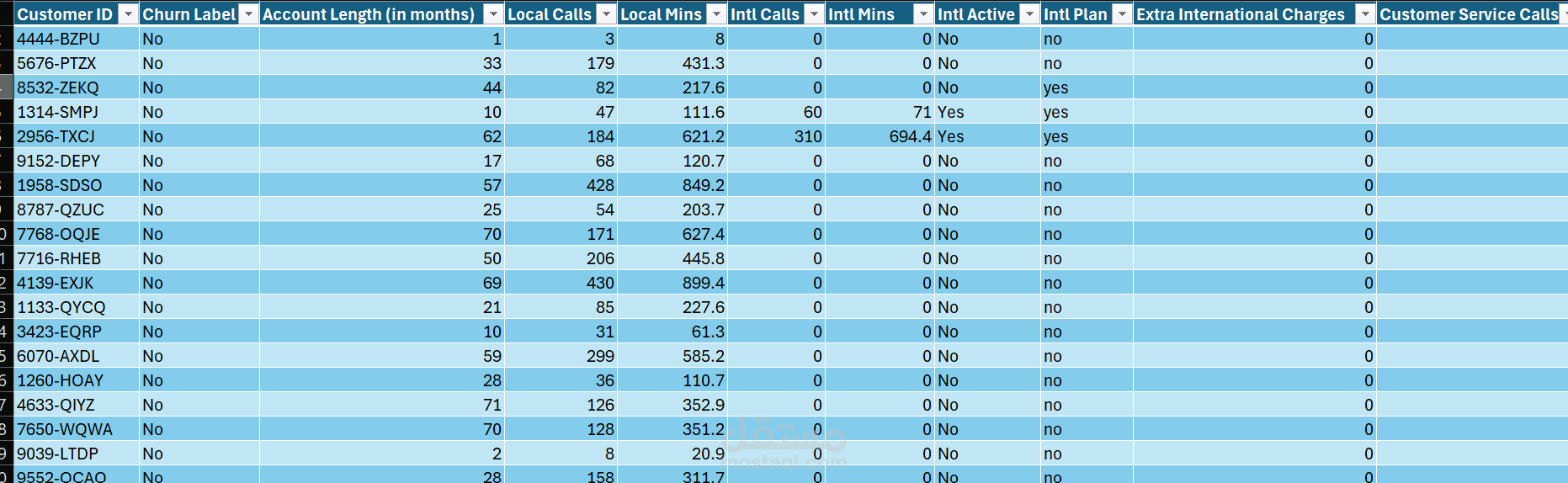 Data Churn Analysis