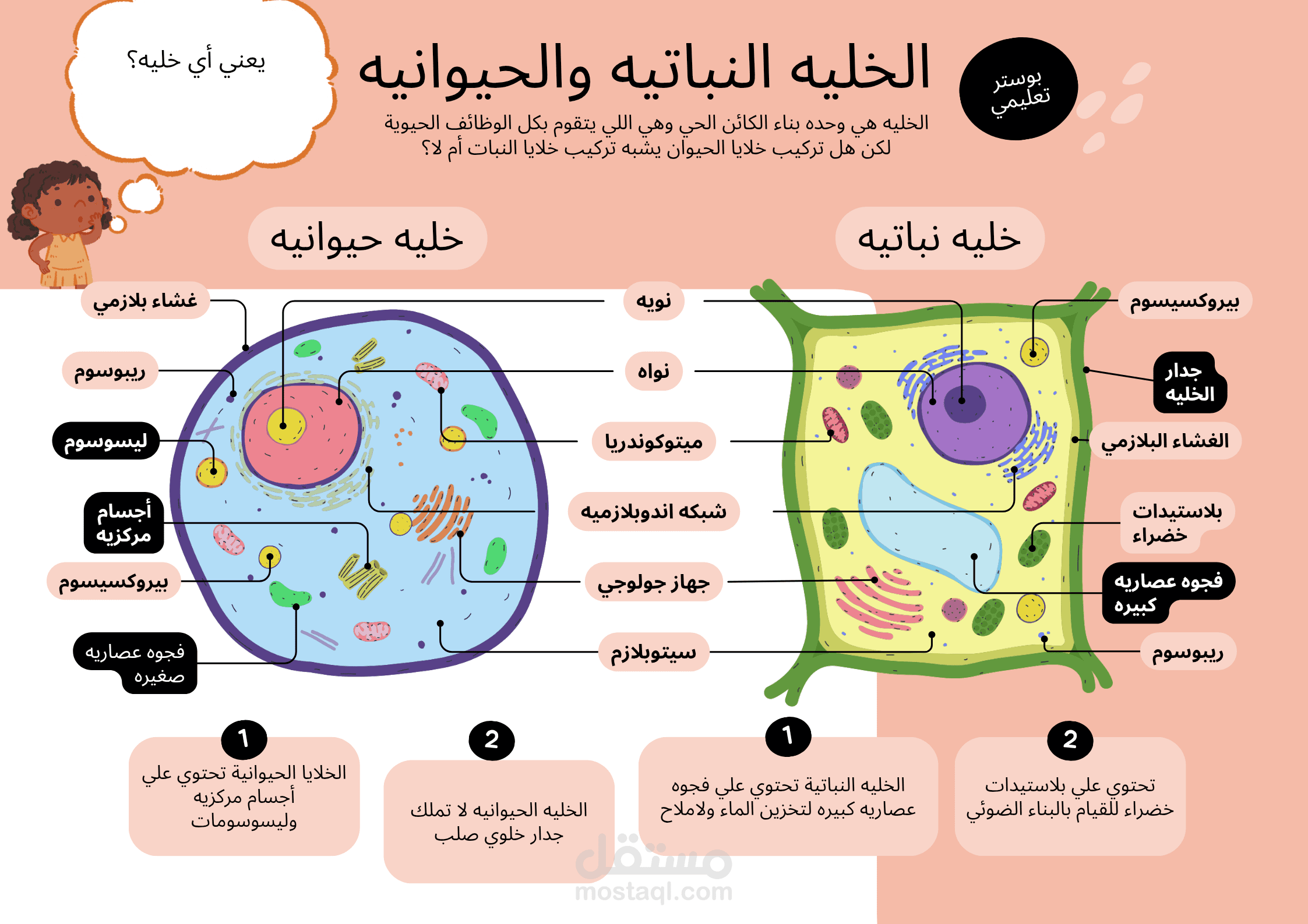 الخليه