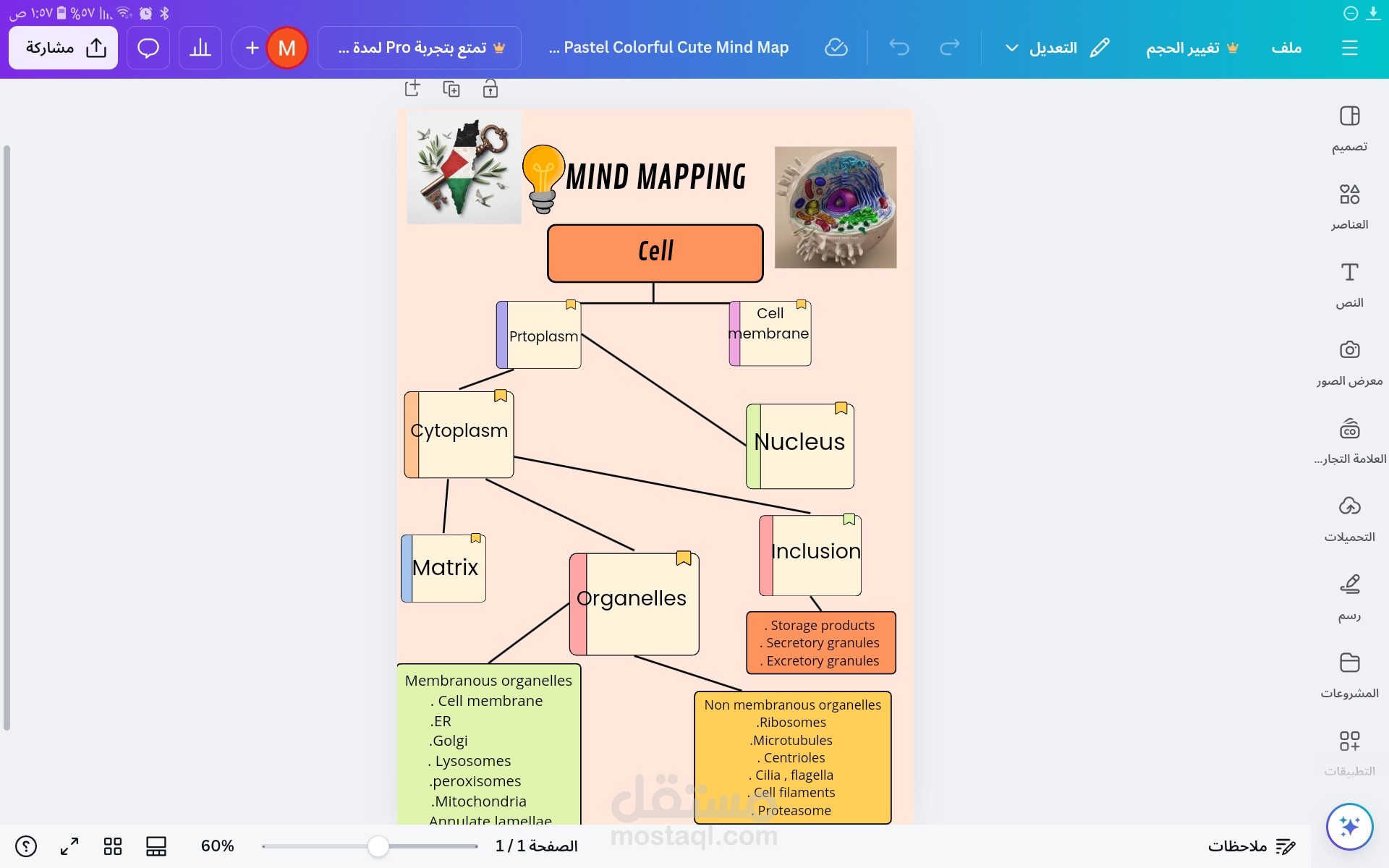 تصميم mind maps