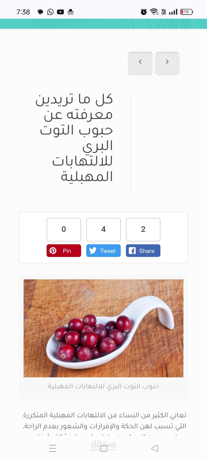 حبوب التوت البري للالتهابات المهبلية