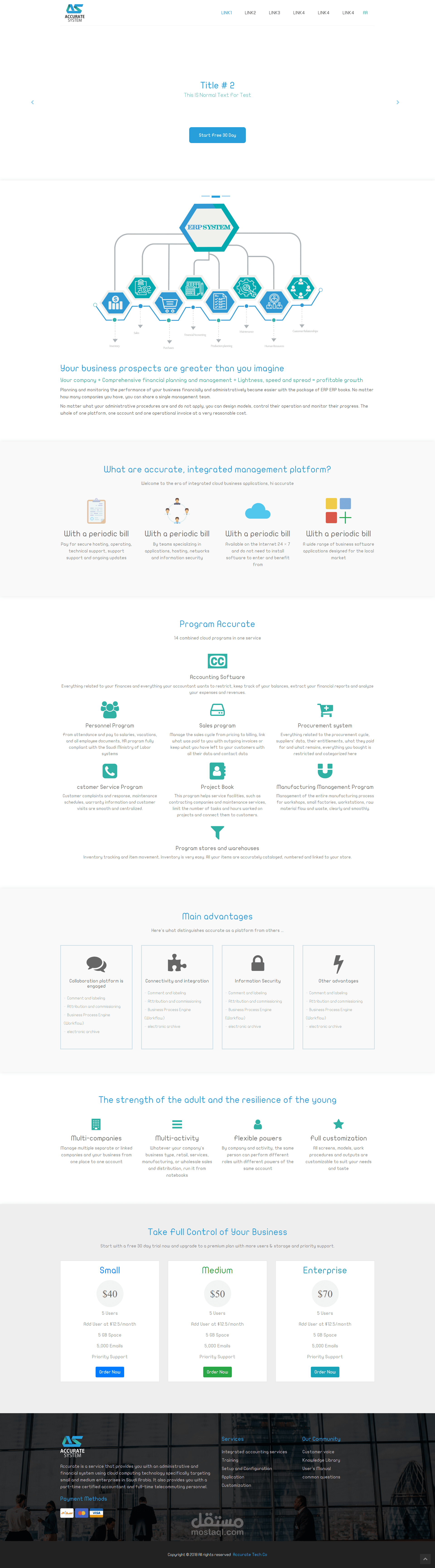 Accurate System Company Website