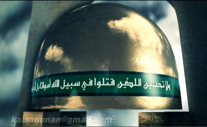 6 may