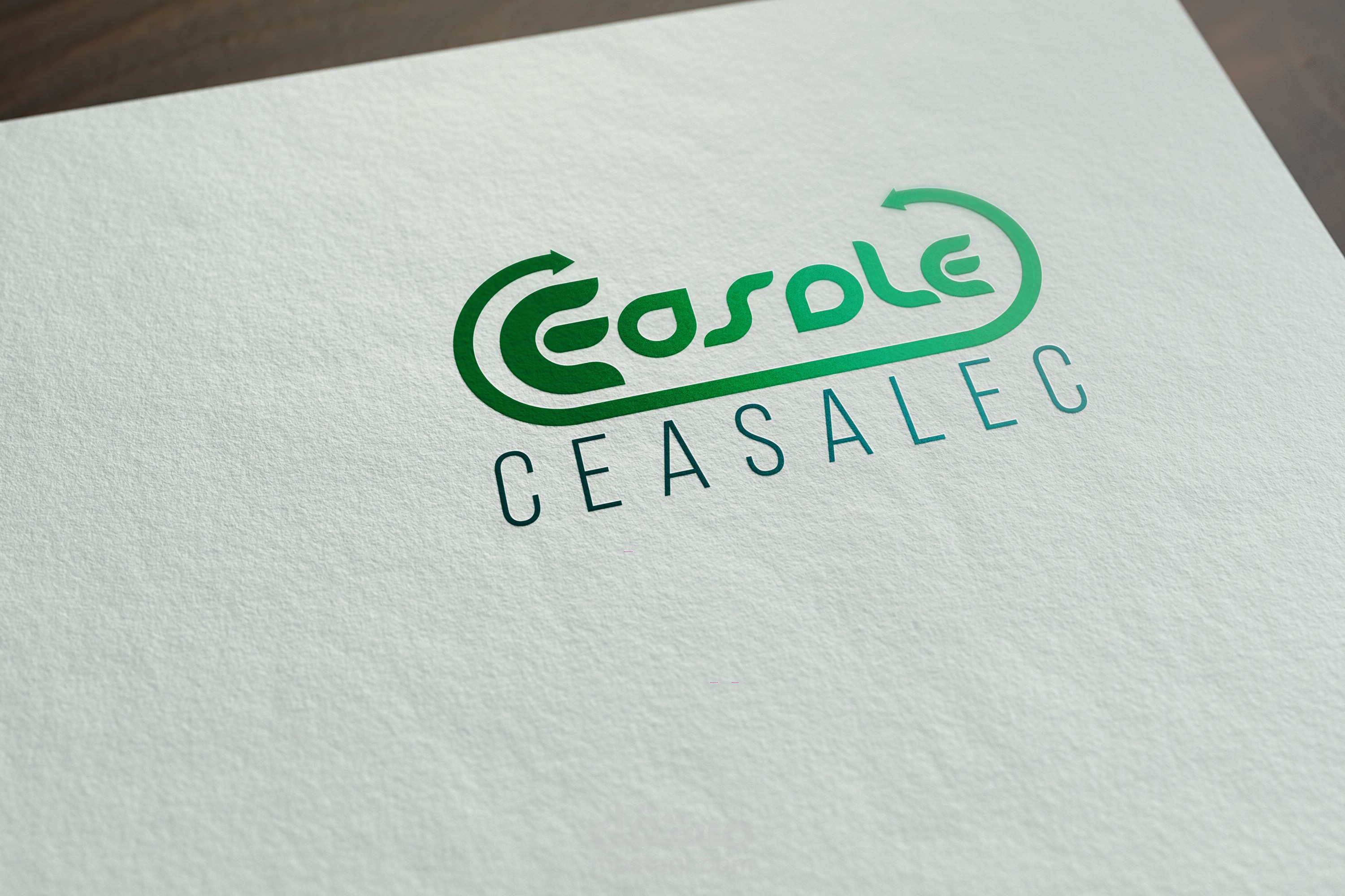 لوغو لشركة مختصة في التنمية المستدامة