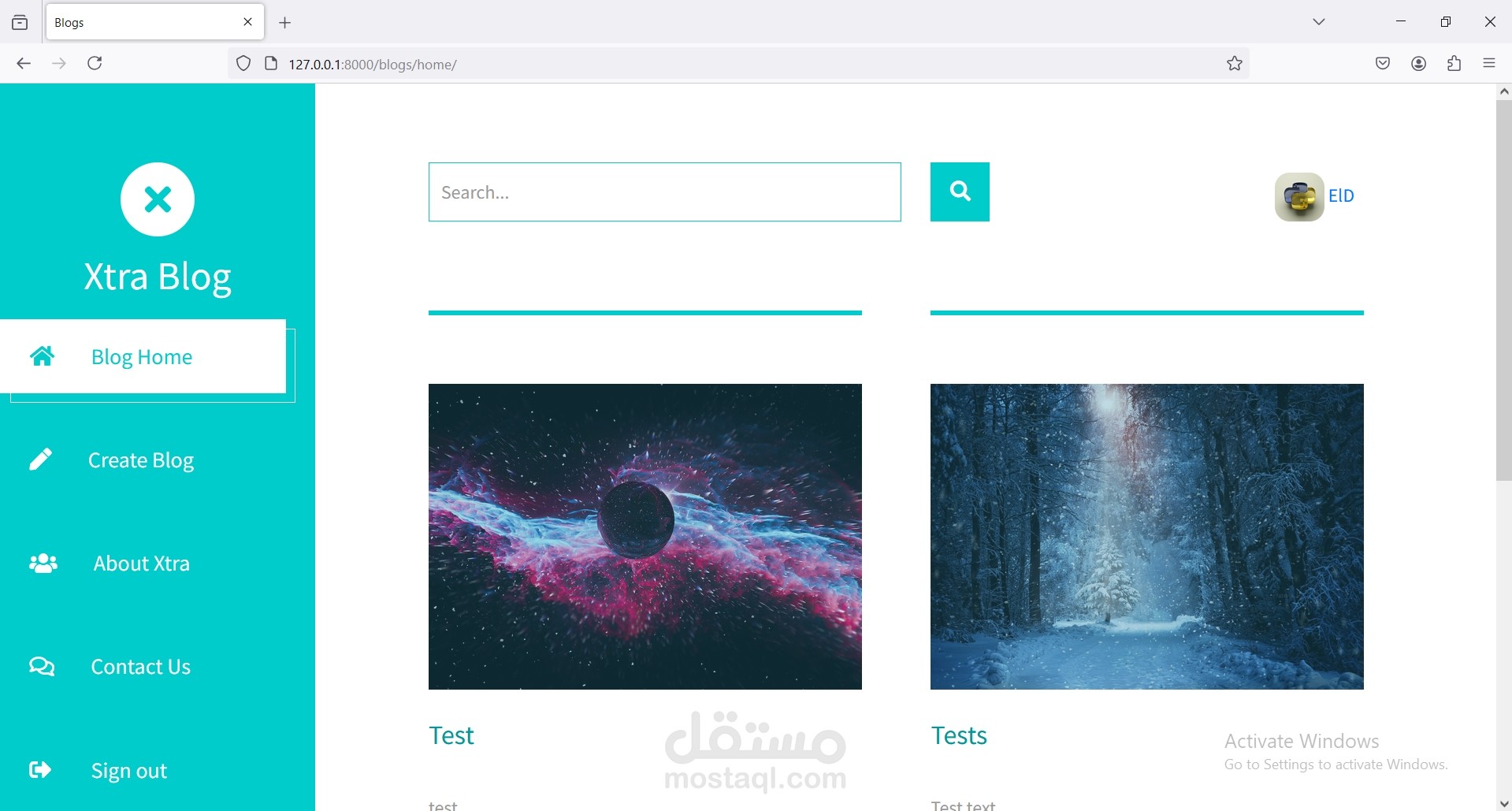 Blogs website