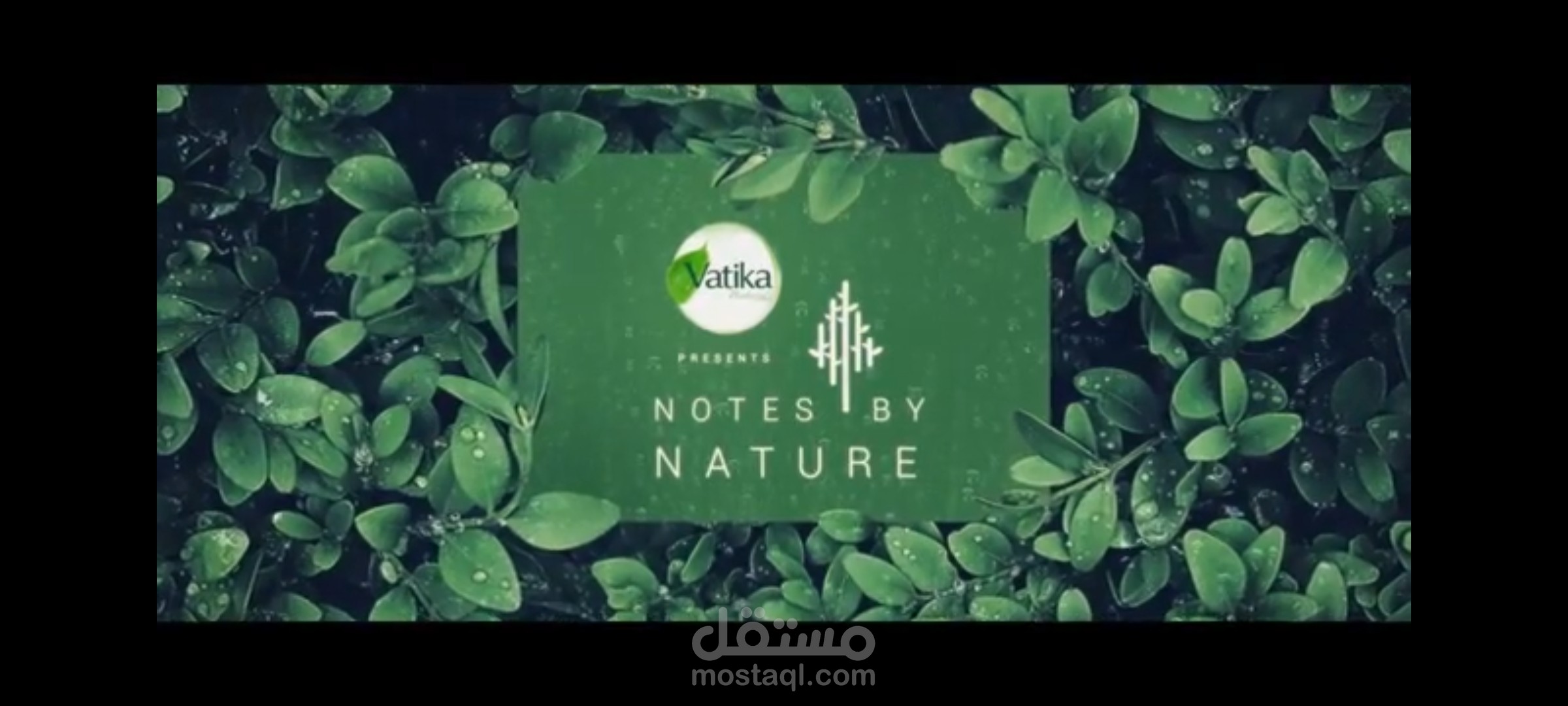 اعلان رسمي لشركة فاتيكا