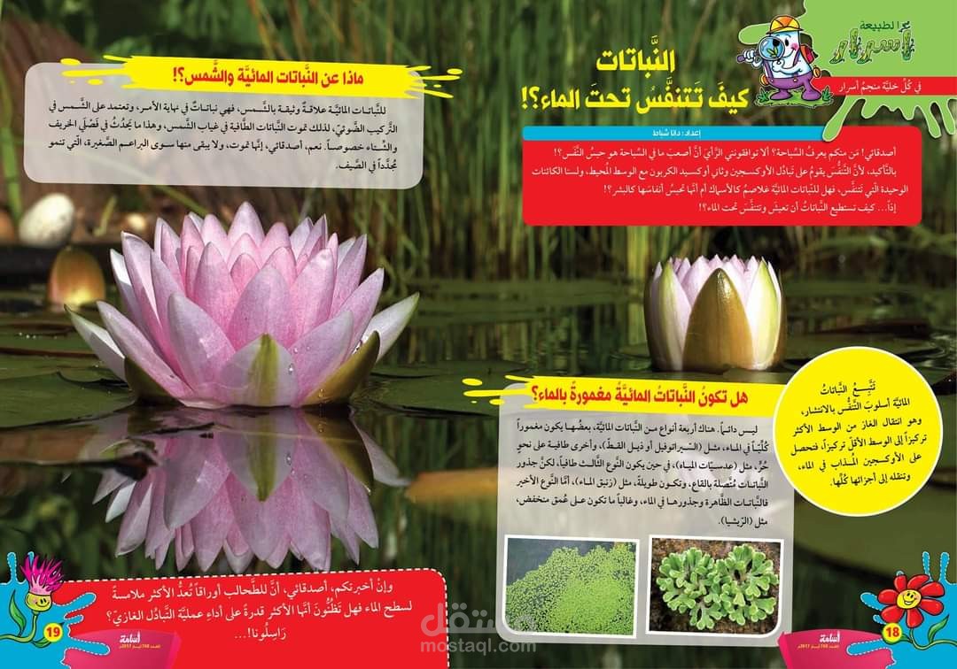 كتابة وتنسيق محتوى للأطفال في مجلة للأطفال حول النباتات