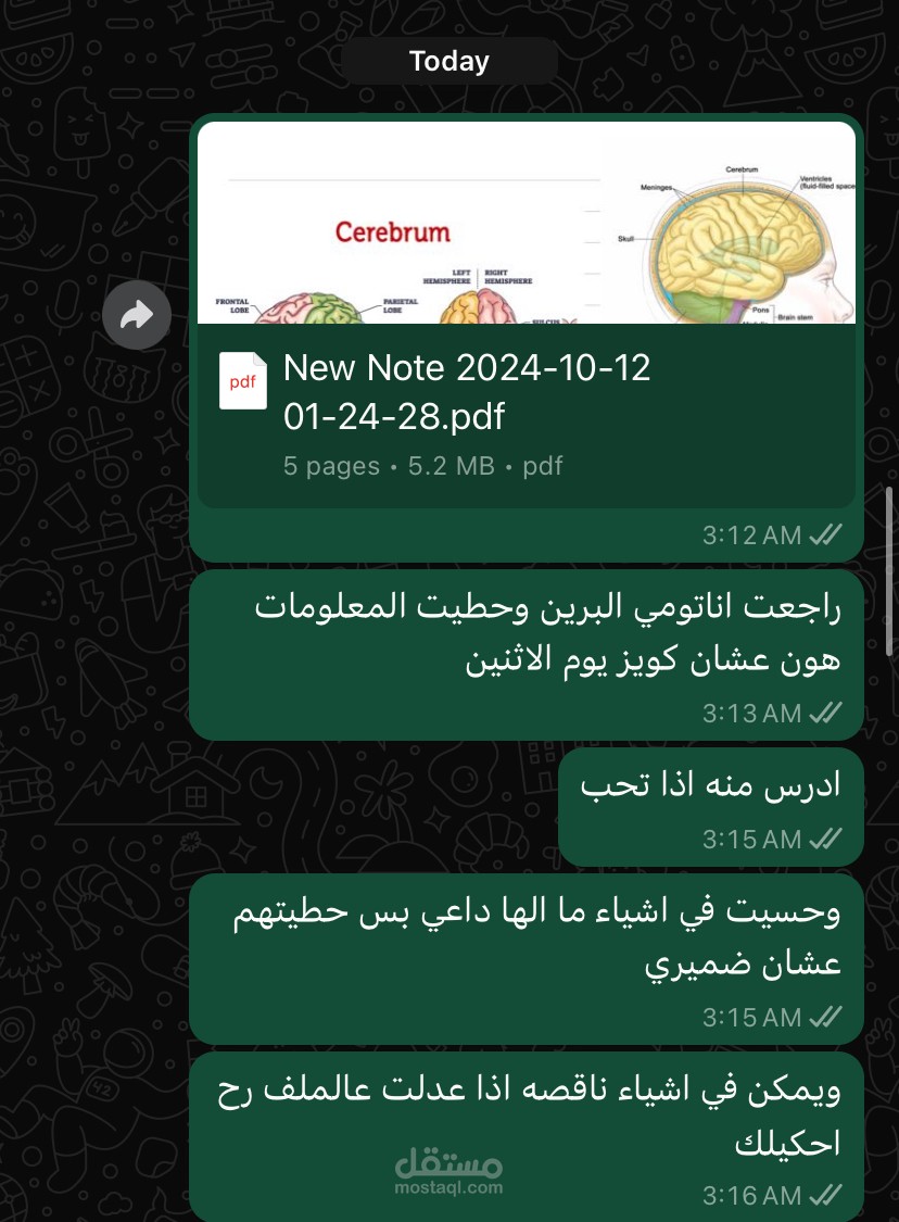ملخص شامل عن أناتومي الدماغ عبر تطبيق Collanote