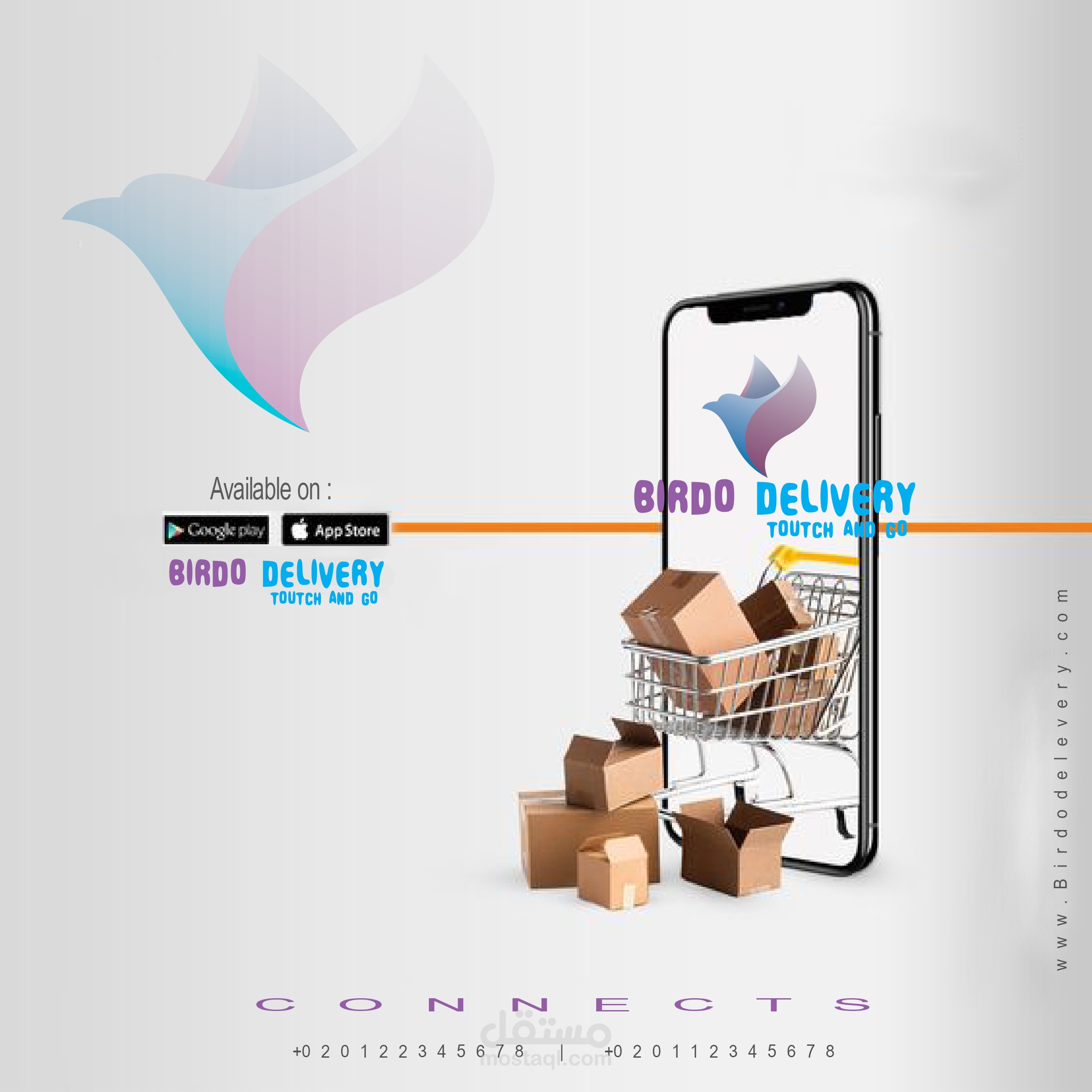 bird delivery هوية بصرية شركة خدمات لوجستية
