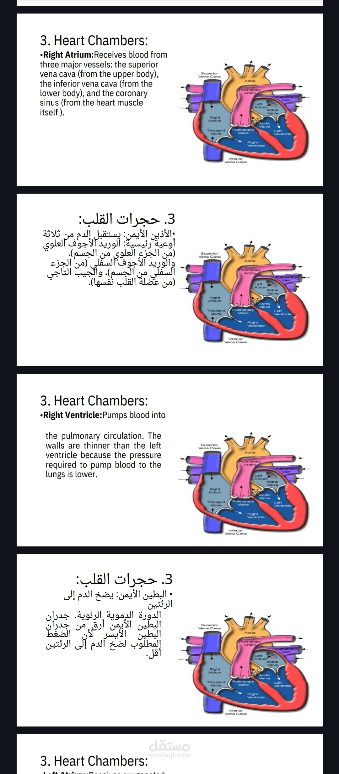 ترجمة الملفات ( الملازم وغيرها)