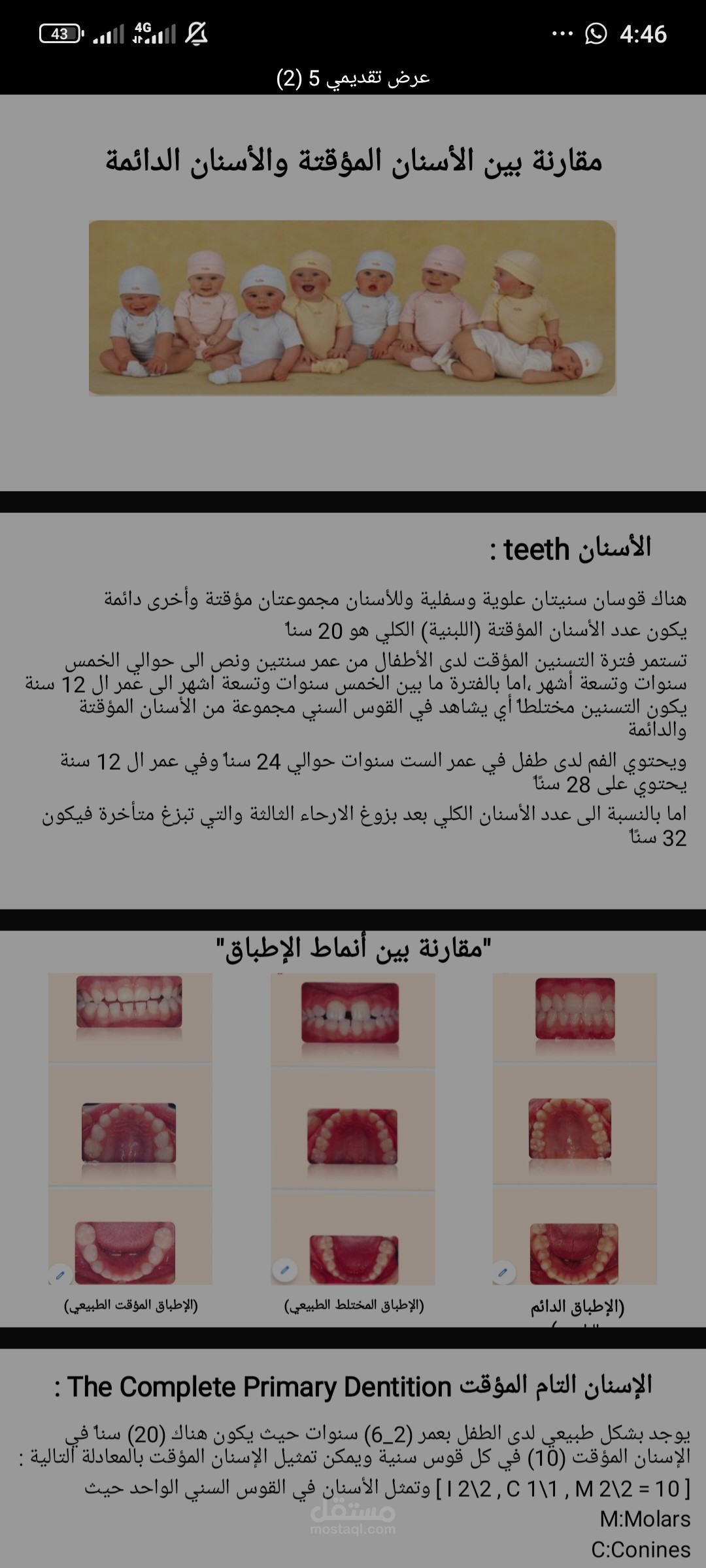 مقارنة اسنان دائمة ومؤقتة