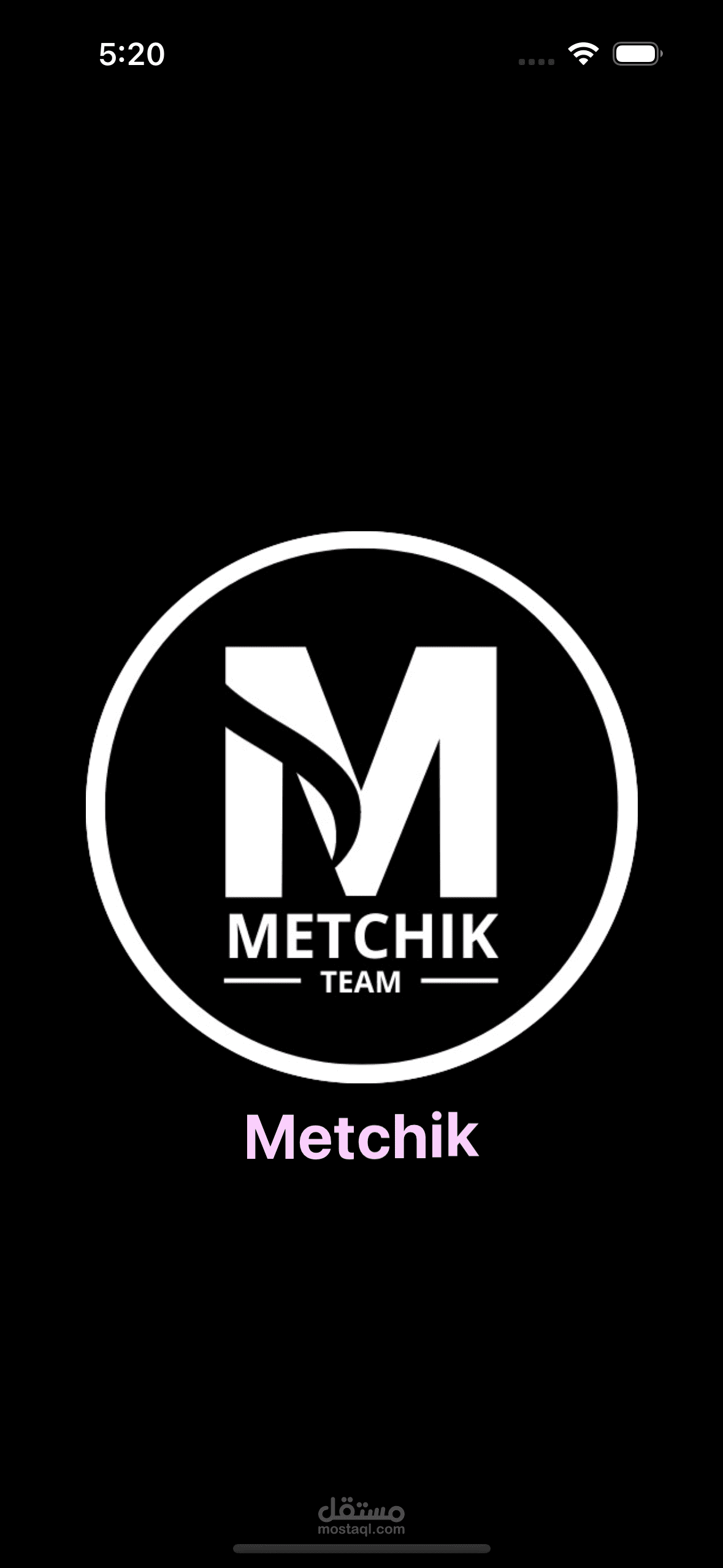 Metchik_Graduation_Project