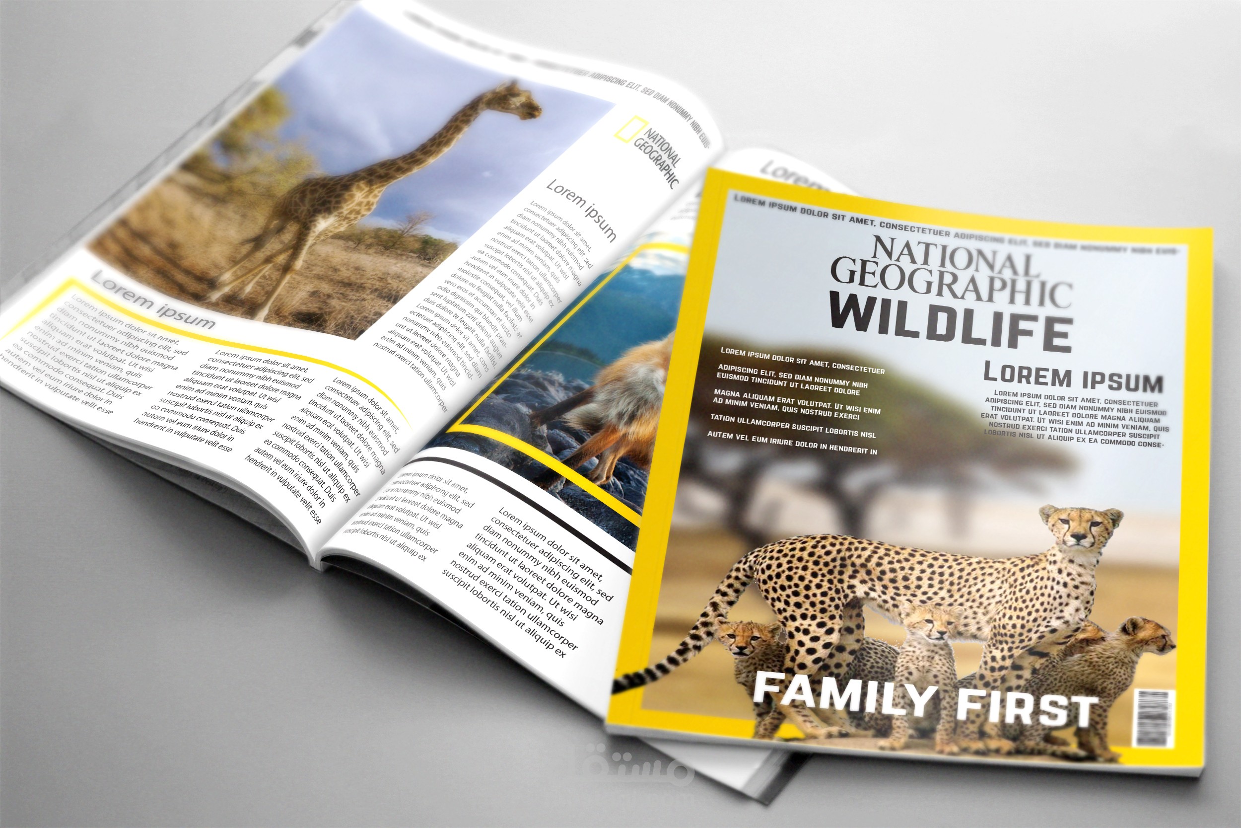 تصميم مجلات