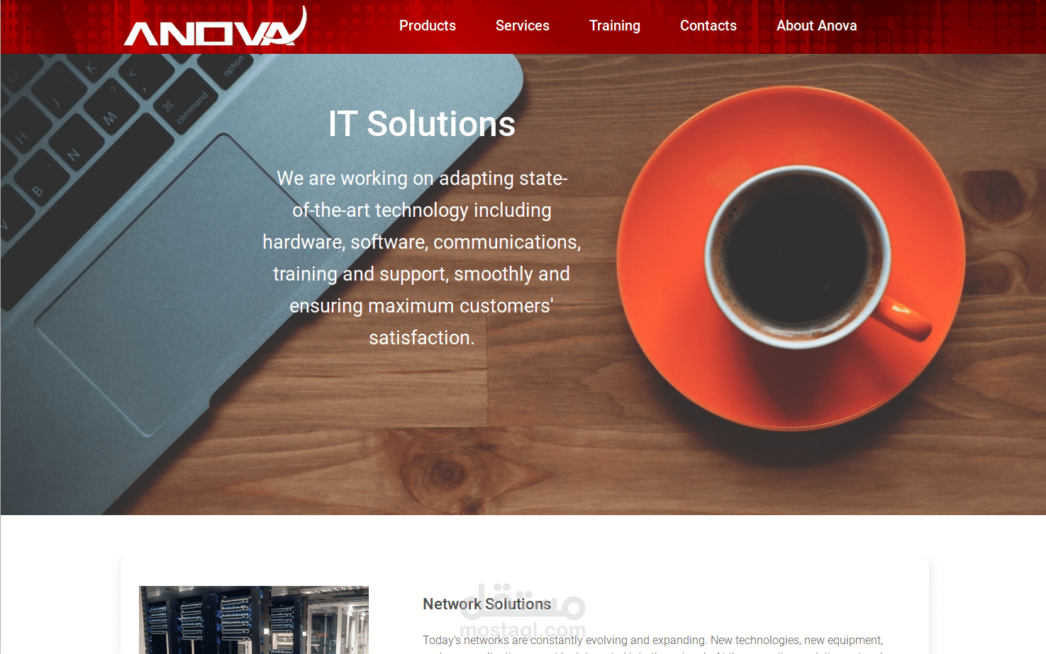 تصميم وإدارة وإعداد المحتوى لموقع شركة Anova