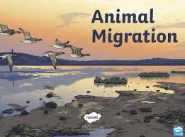 animal adaptations   تكييفات الحيوان
