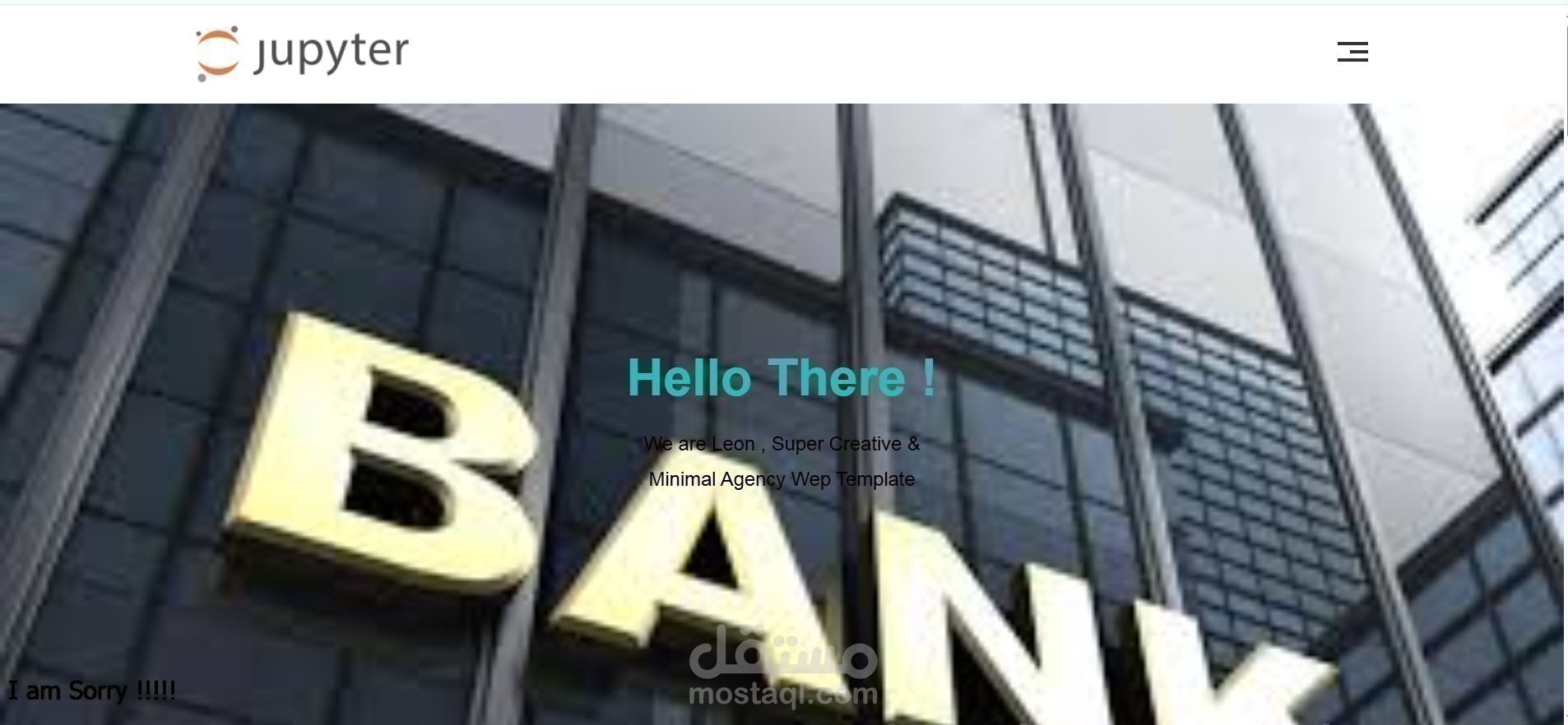 Bank Website