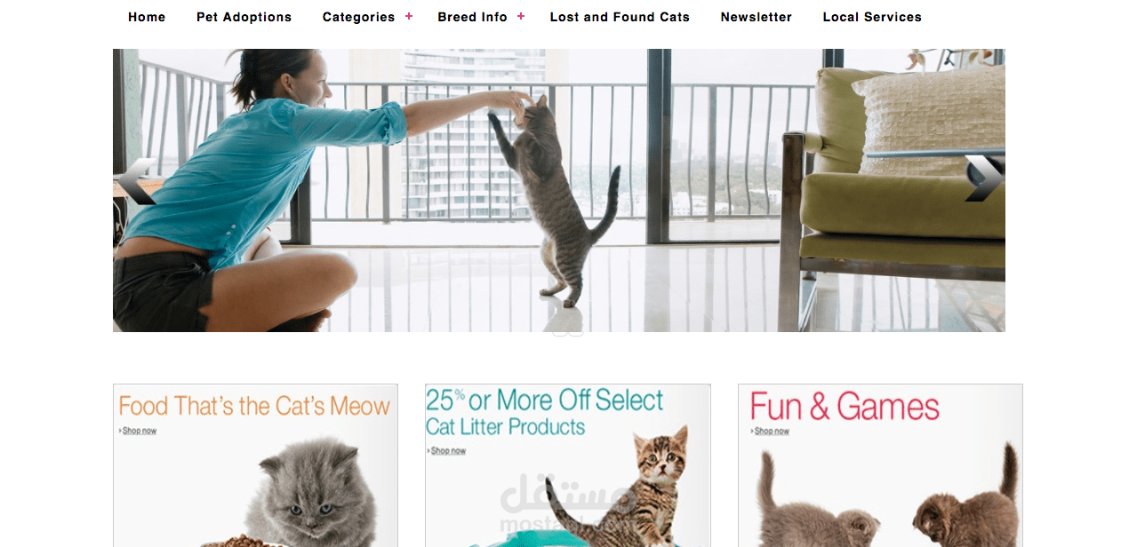 (Ecommerce Website (freelance