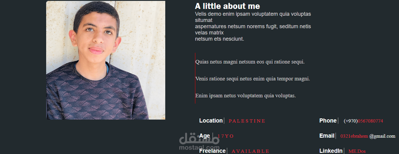 موقع شخصي احترافي – بورتفوليو لمطور Front-End