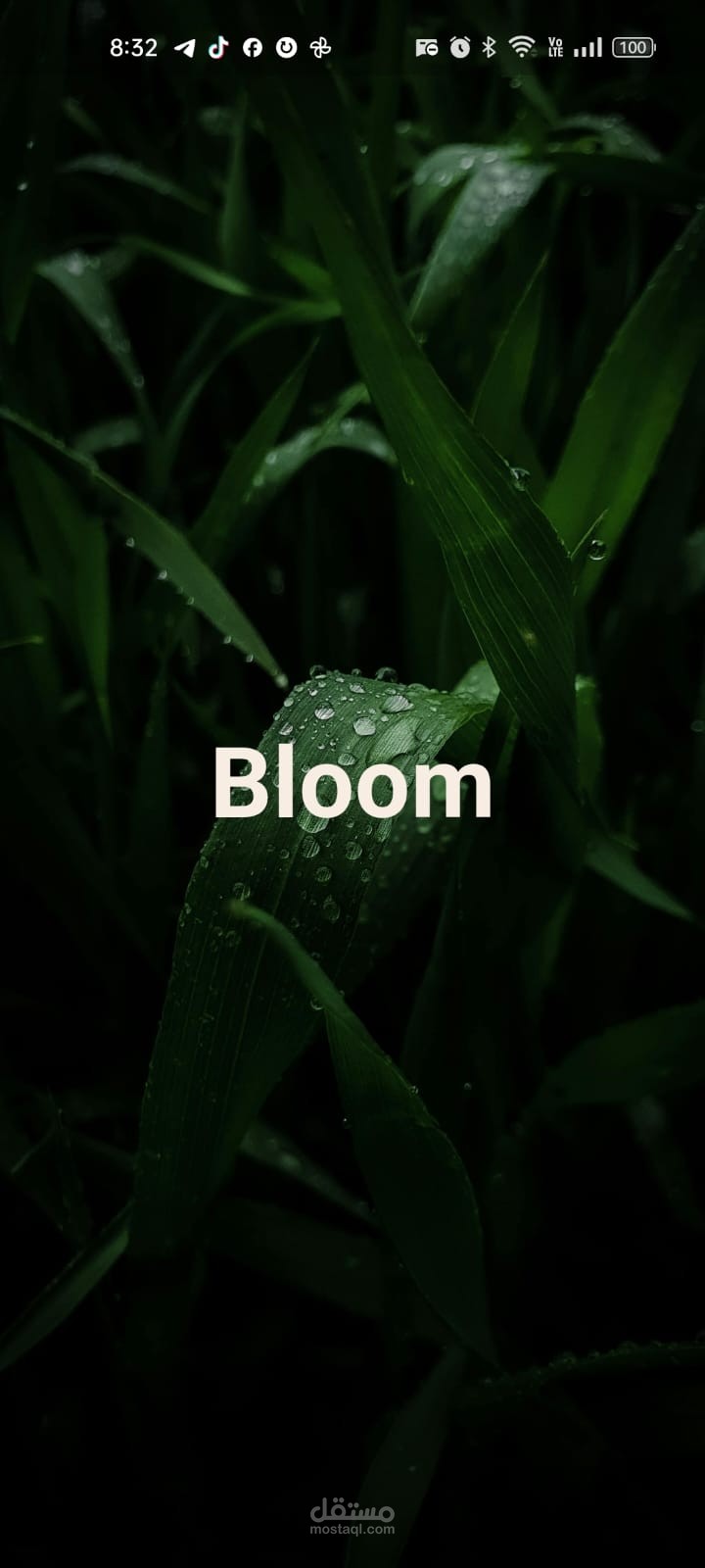 تطبيق bloom
