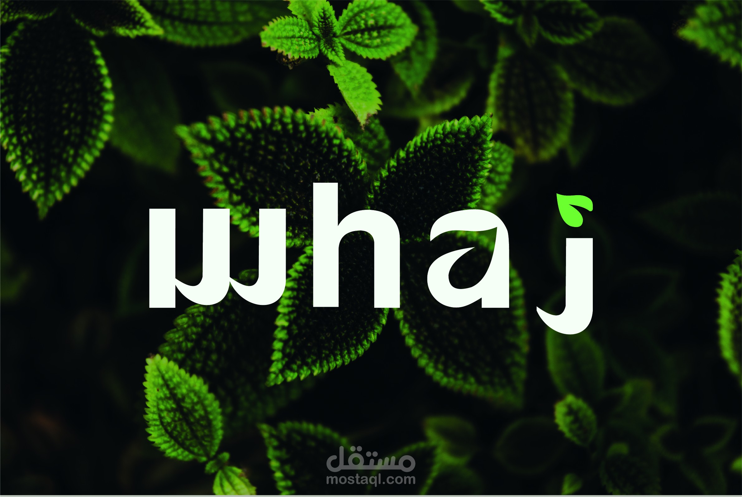 شعار وهج _ WHAJ لبيع النباتات الصناعية