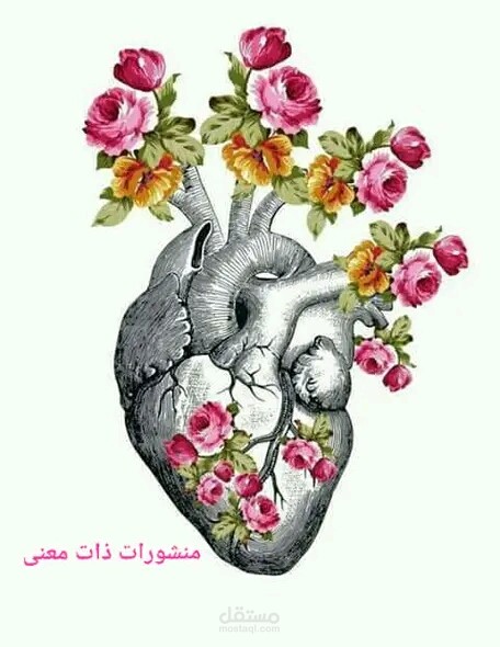 القلب وصلاح الإنسان