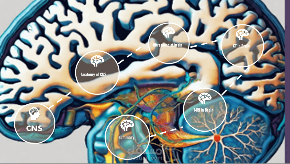 CNS and brain باوربوينت احترافي