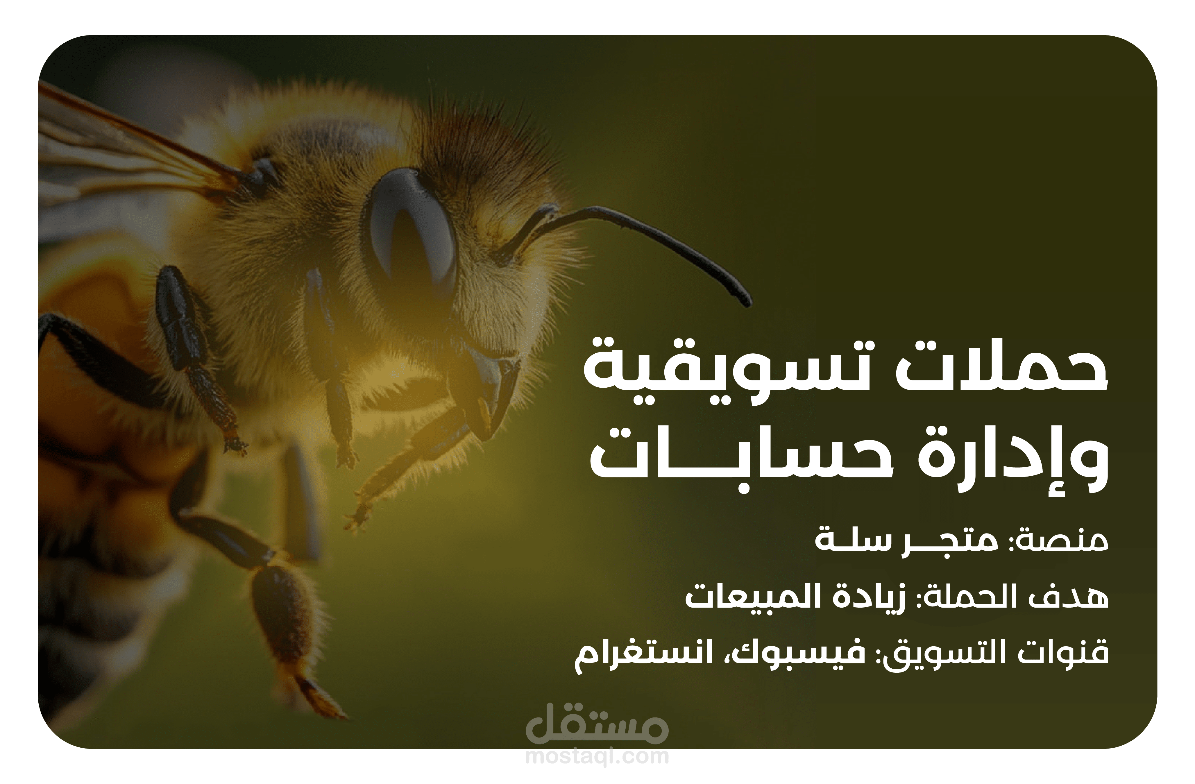 رحيق النخبة – حملات إعلانية وتصاميم لعلامة متخصصة في العسل الطبيعي