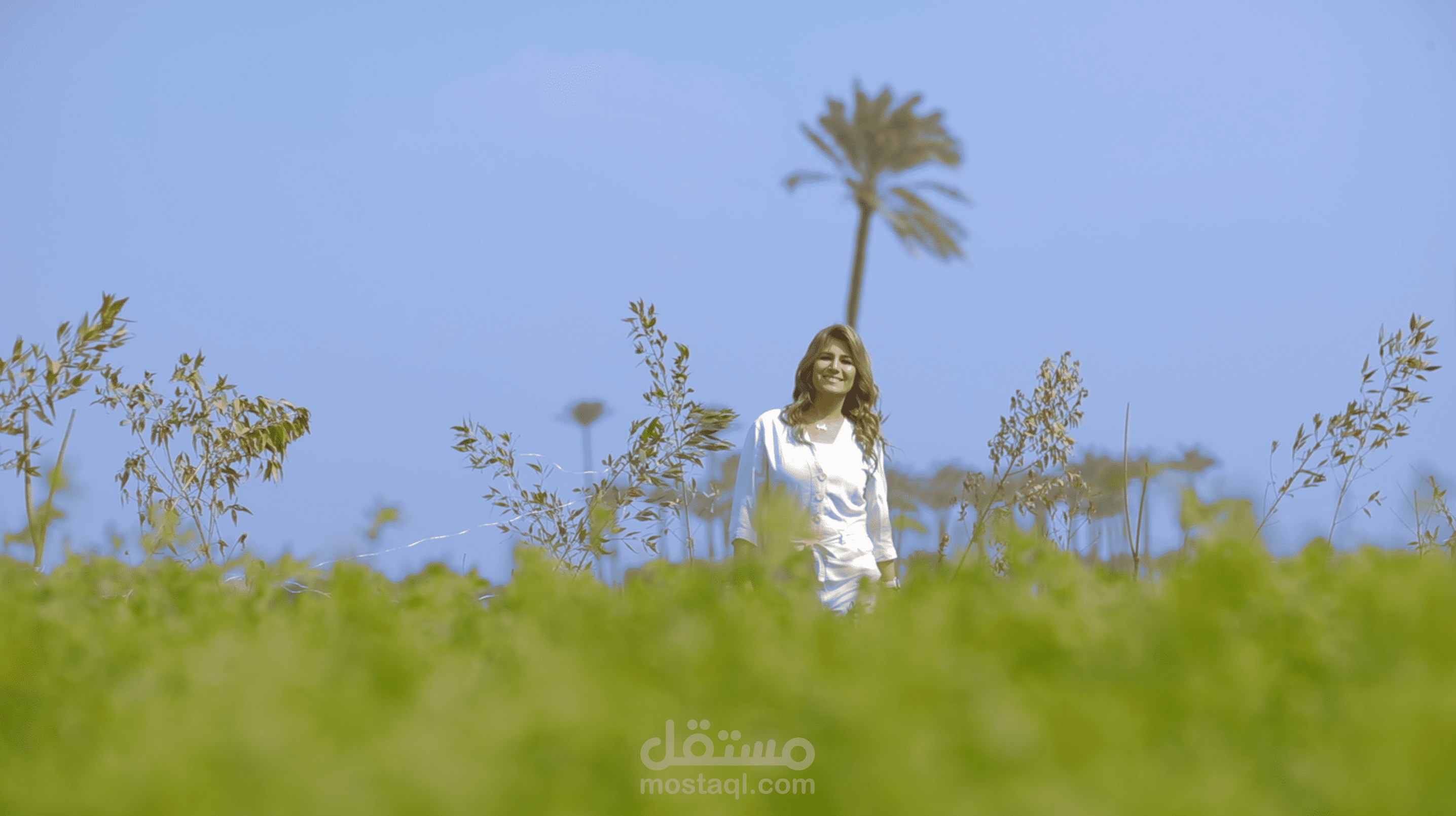 برومو برنامج