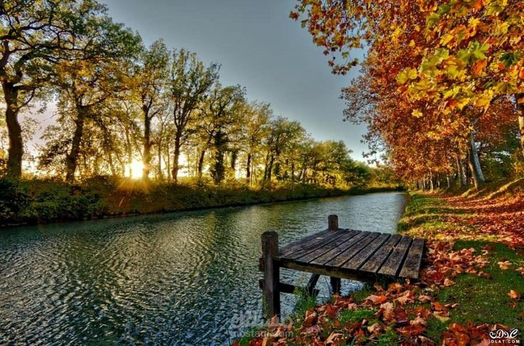 الطبيعة في 2024: بين التحديات والفرص للحفاظ عليها