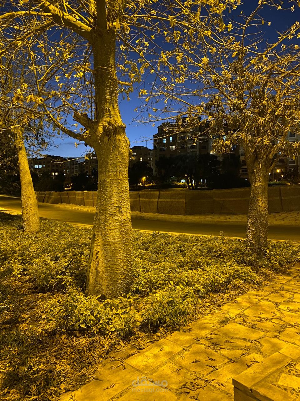 تعليق صوتي