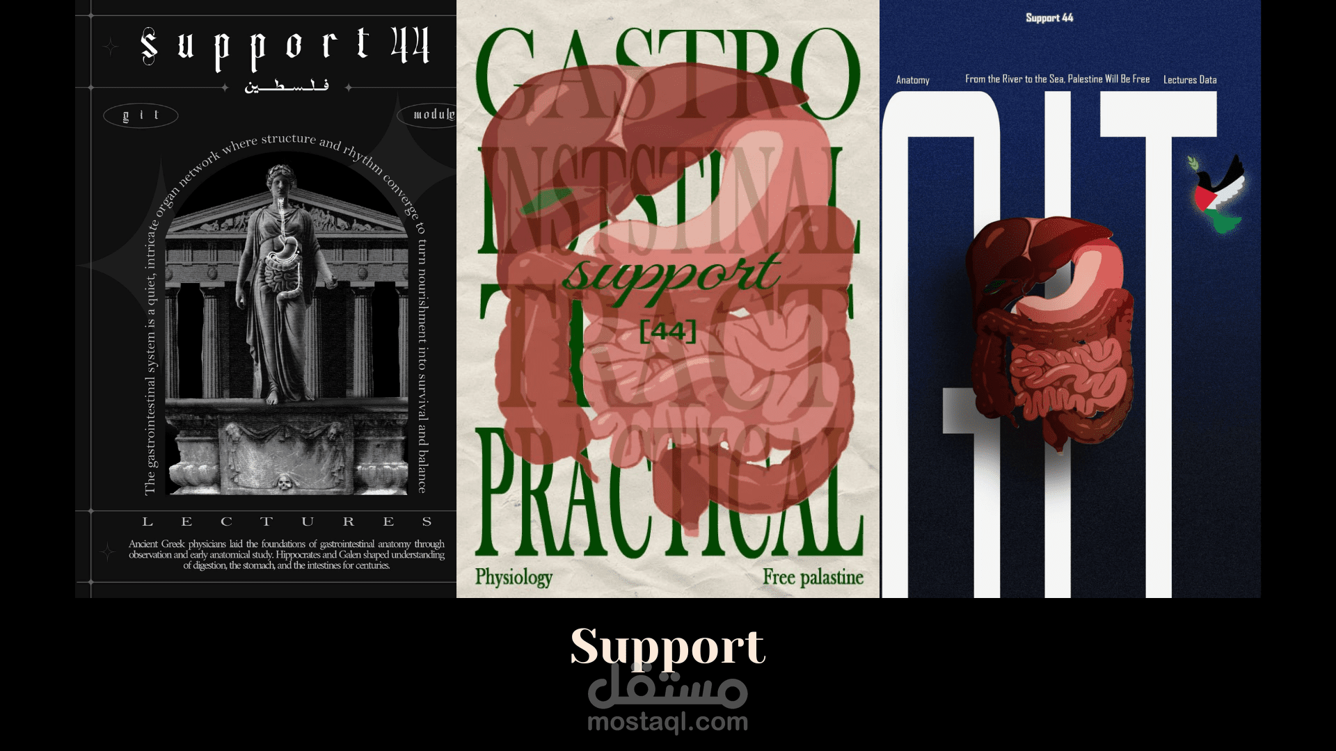 تصميم غلاف لمجموعة من الكتب الطبية الخاصة بفريق Support التابع لكلية الطب البشري بجامعة المنوفية