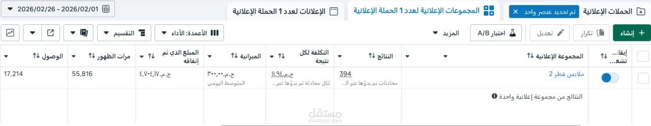 حملة تسويقية لشركة نظافة
