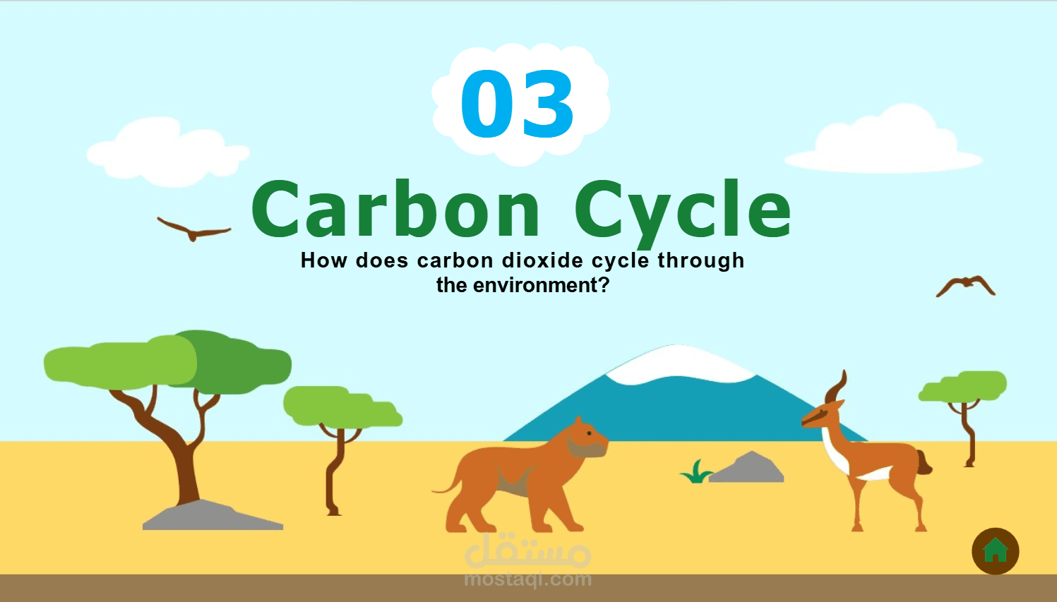 Environmental Cycles for Grade 7