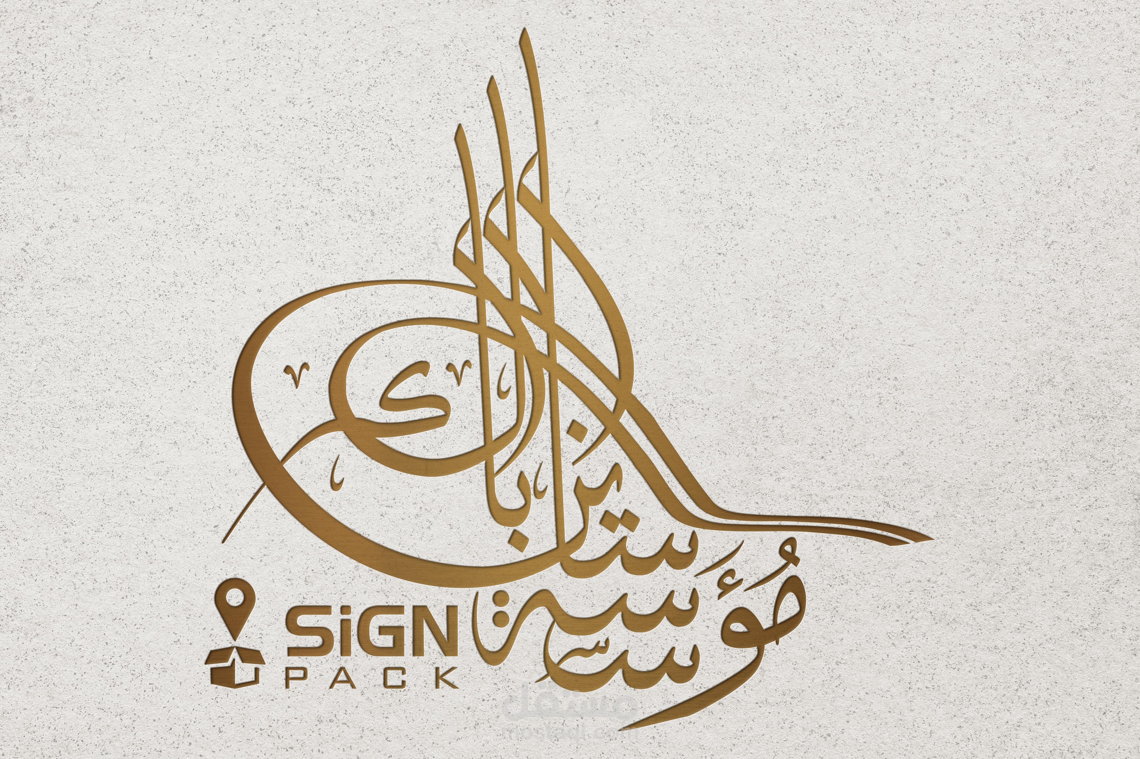 مؤسسة ساين باك