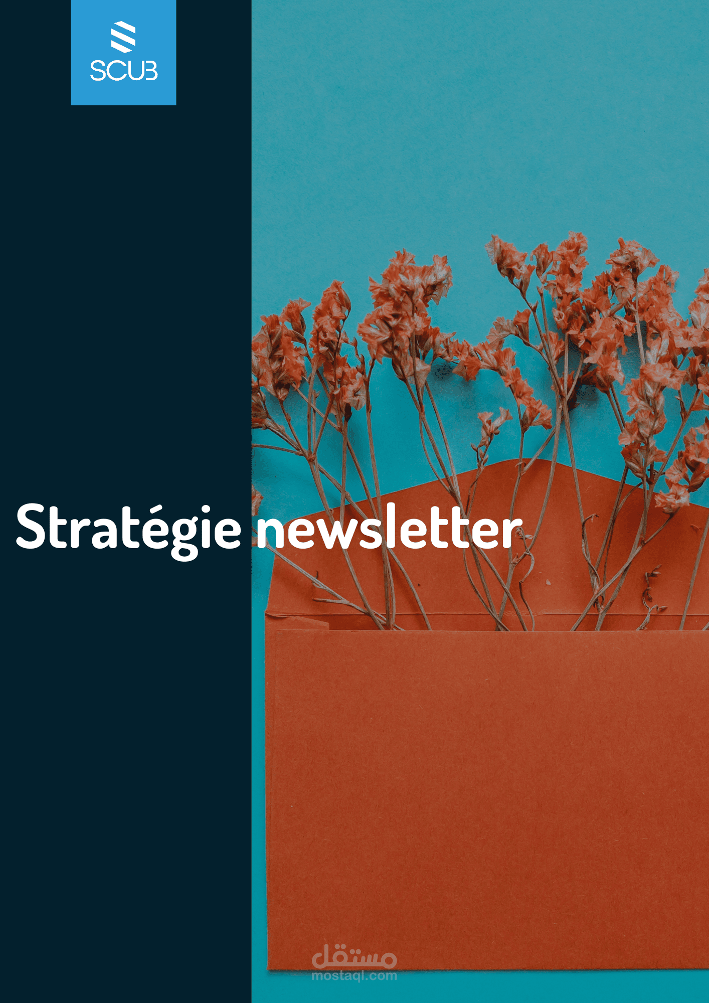 استراتجية Newsletter