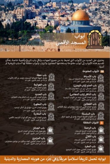 تصميم بوسترات احترافية