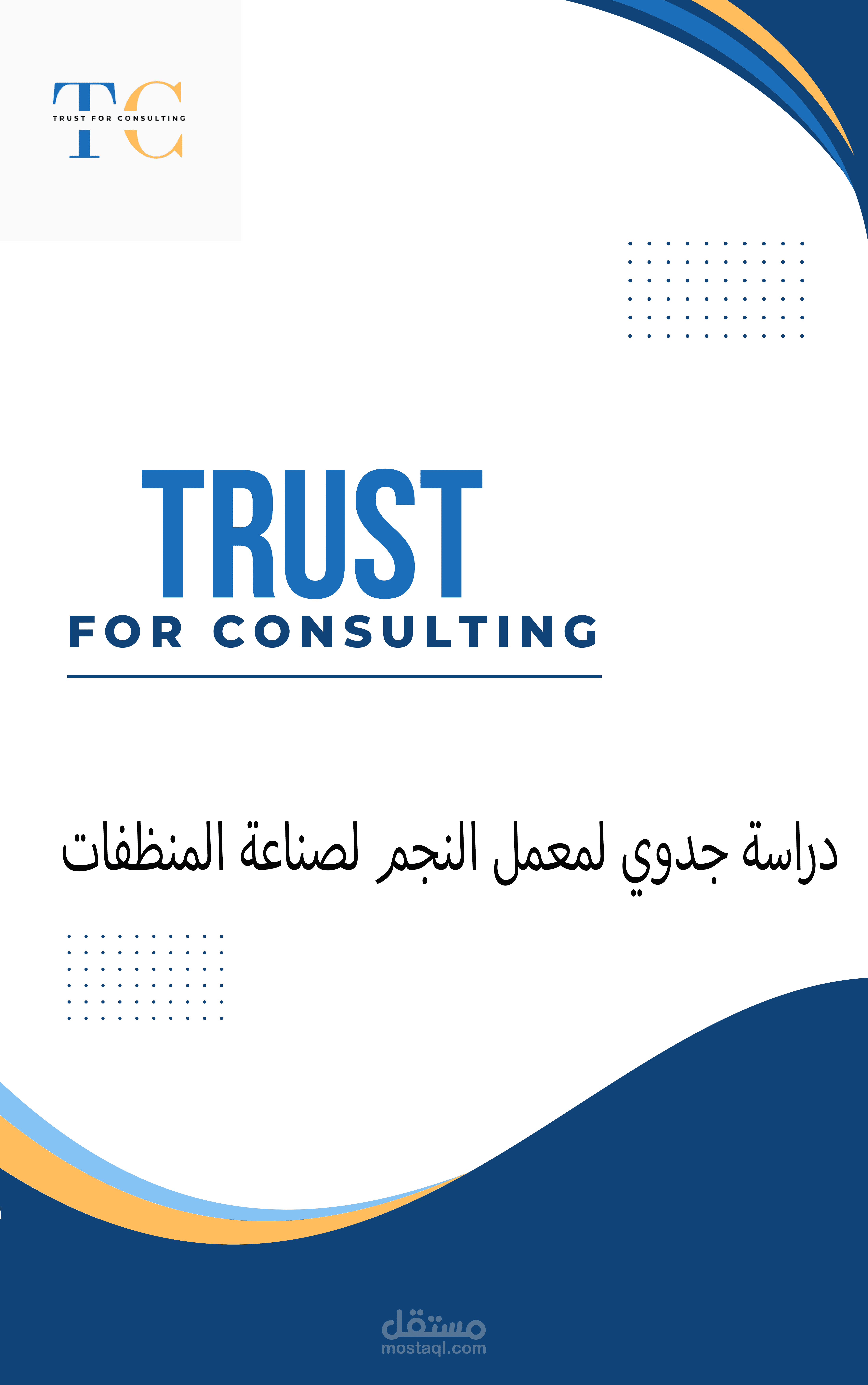 دراسة جدوى لمعمل النجم لصناعة المنظفات