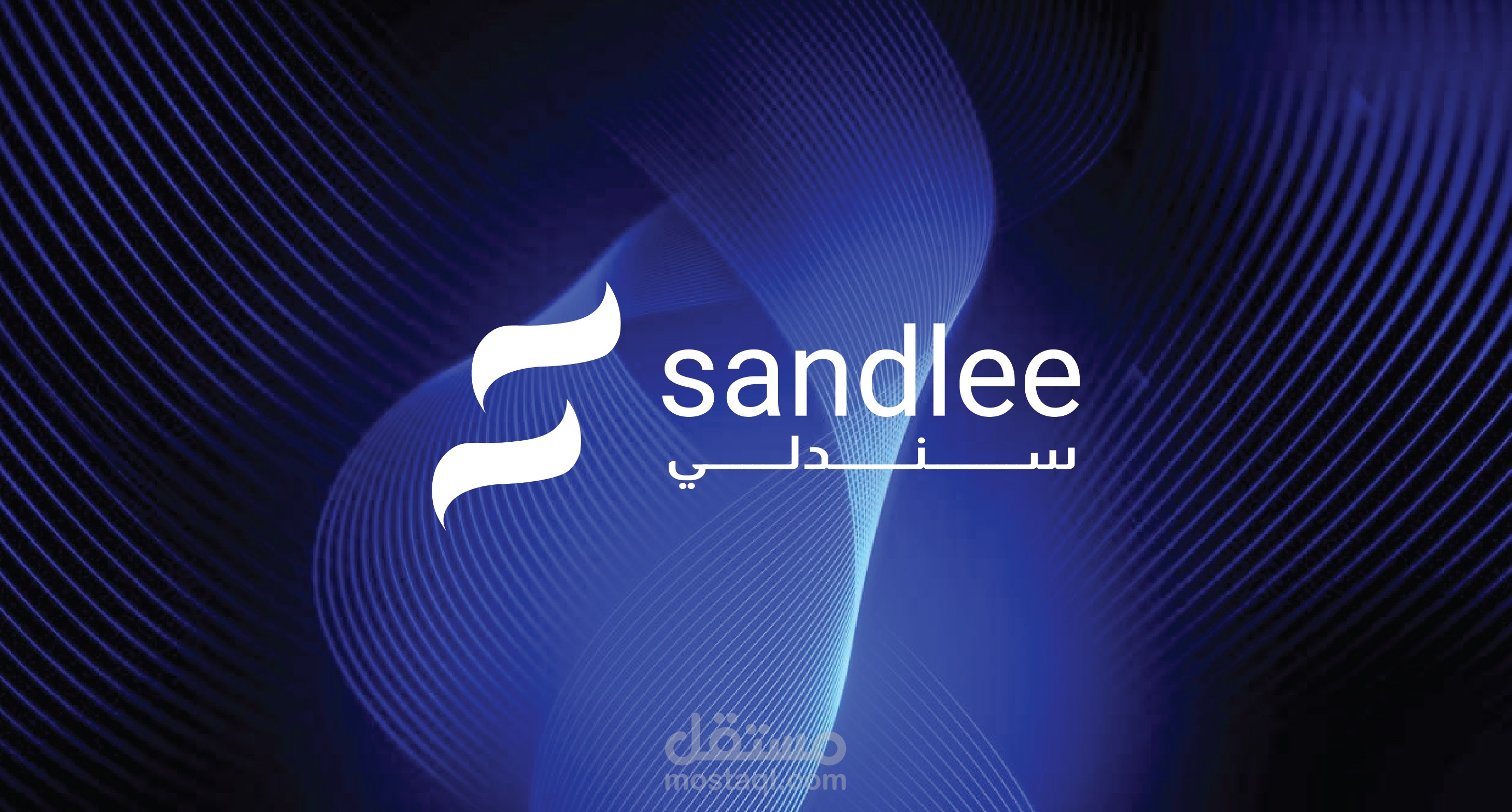 هوية بصرية لمنصة رقمية