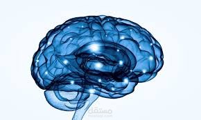 Denoising EEG