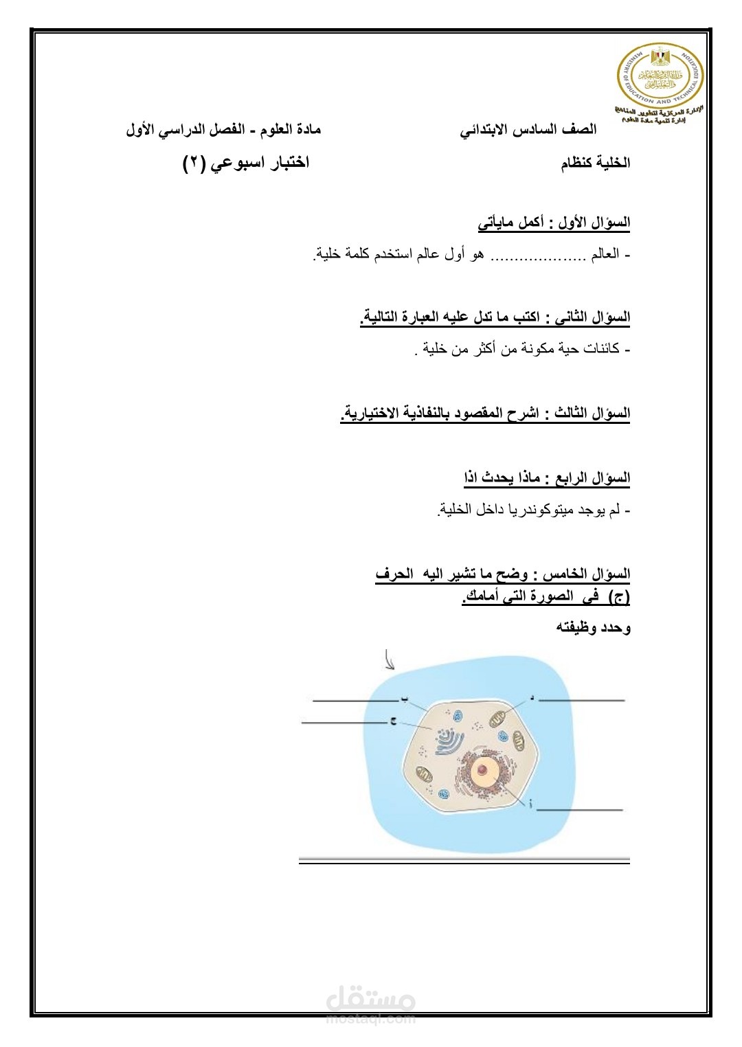 نماذج pdf
