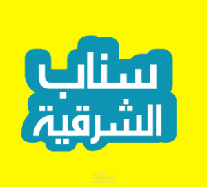 إنشاء موقع إلكتروني وورد بريس