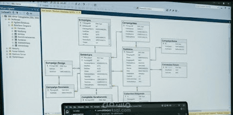 Database Schema