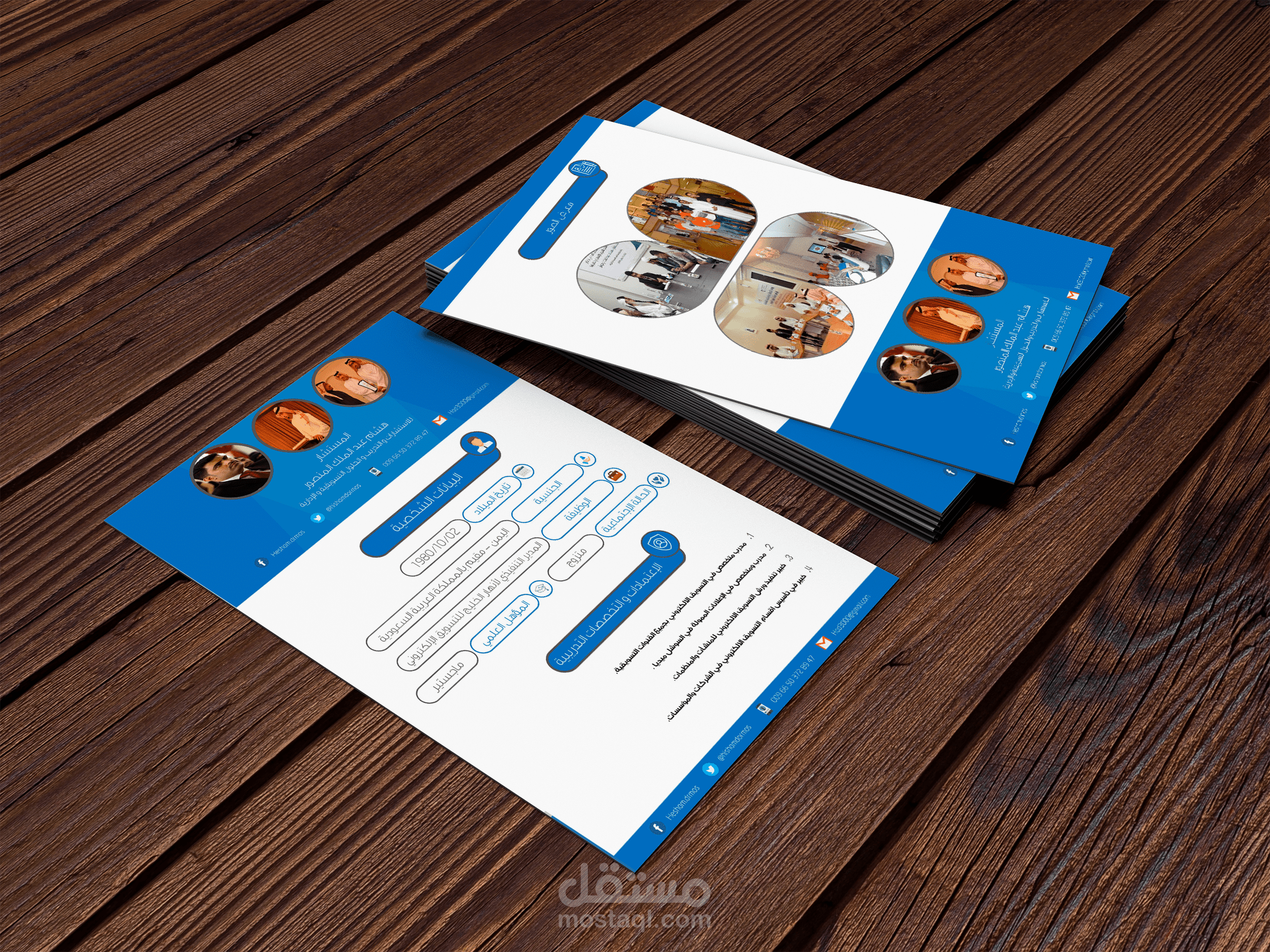 C.v Mr. Hesham Abd El Malk Mansour