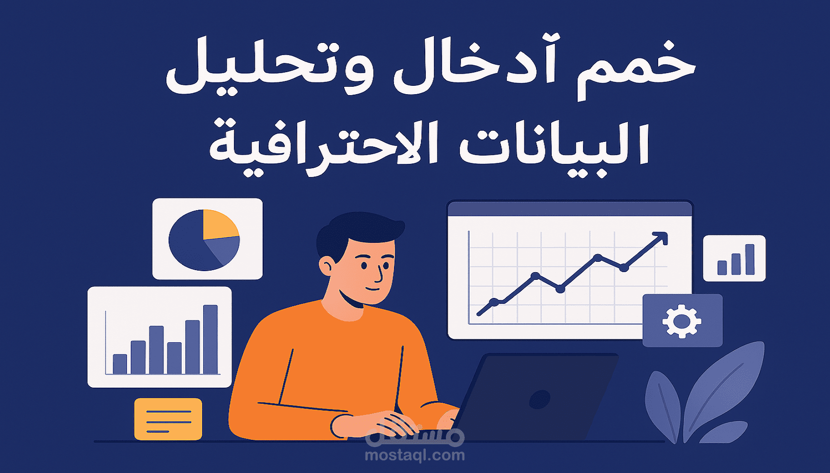 مدخل بيانات محترف