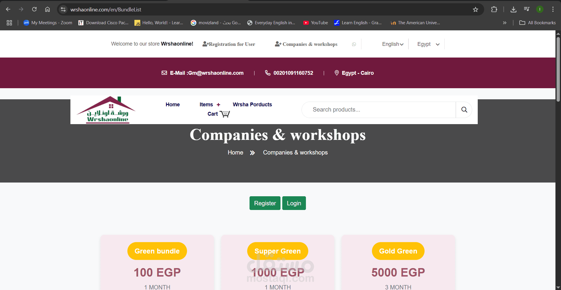 Web Full stack Developer